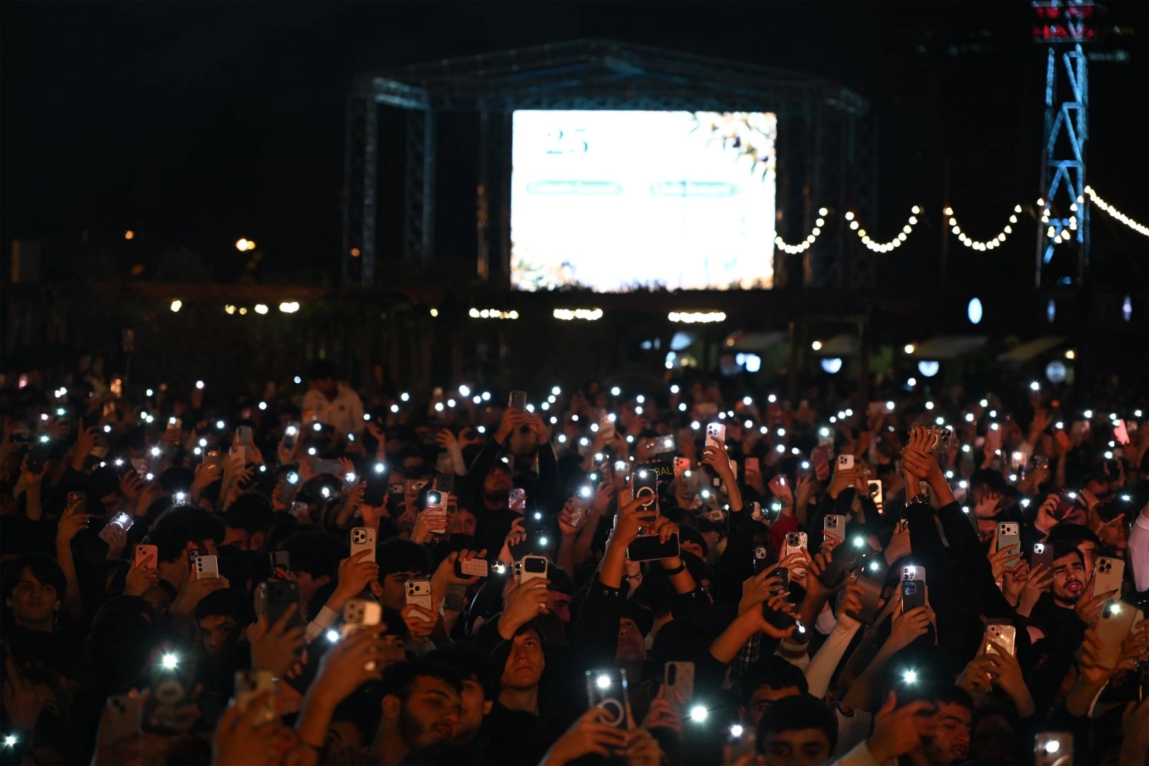 Olive Festival concludes at Baku Boulevard (PHOTO)