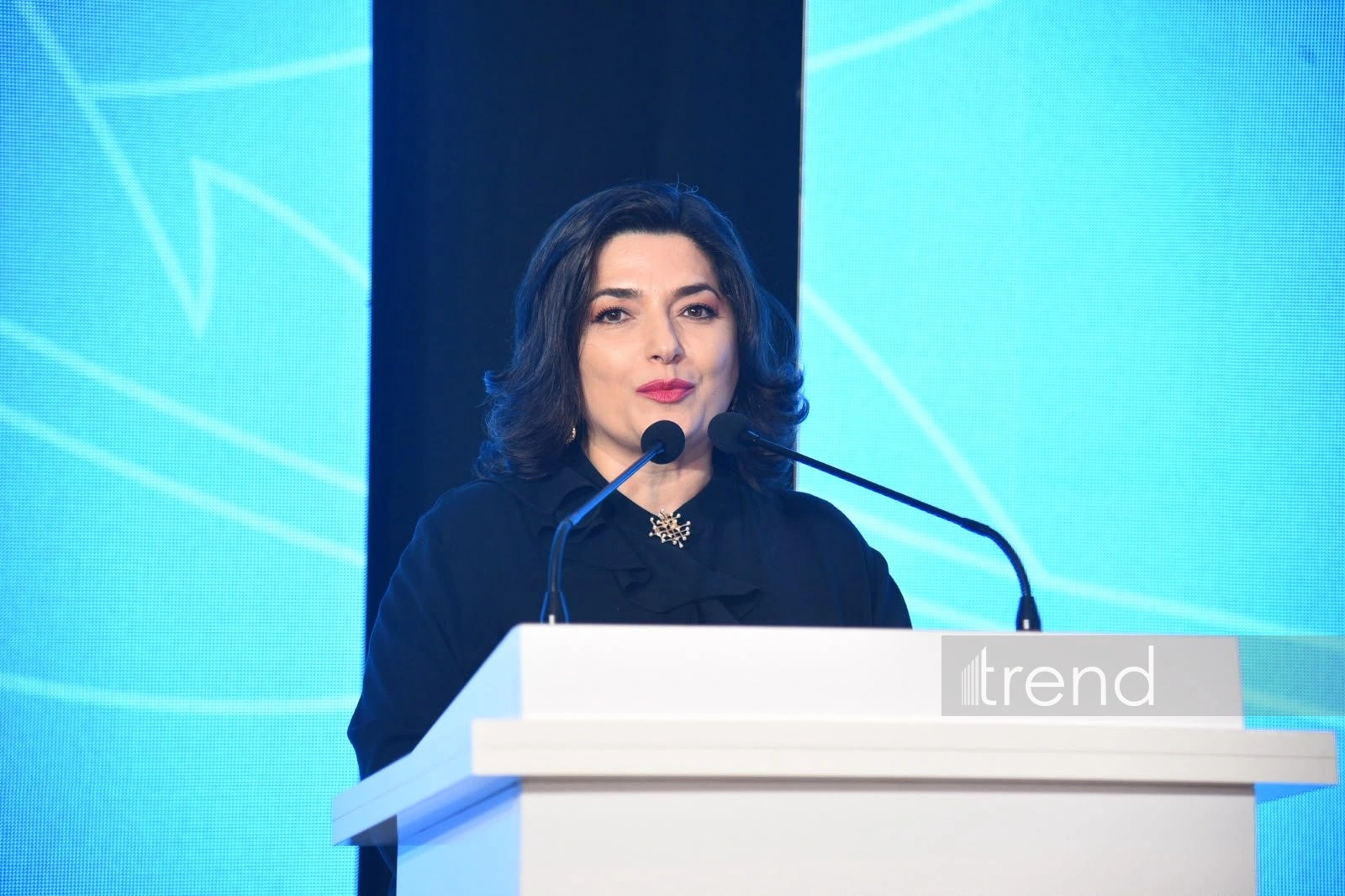 Azerbaijan's Media Development Agency holds national press day event (PHOTO)