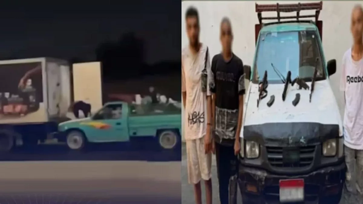Armed gang steals 105 kg of chicken from truck in Egypt VIDEO