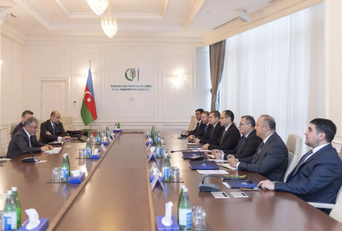 Türkiye to invest in crop, livestock development in Azerbaijan