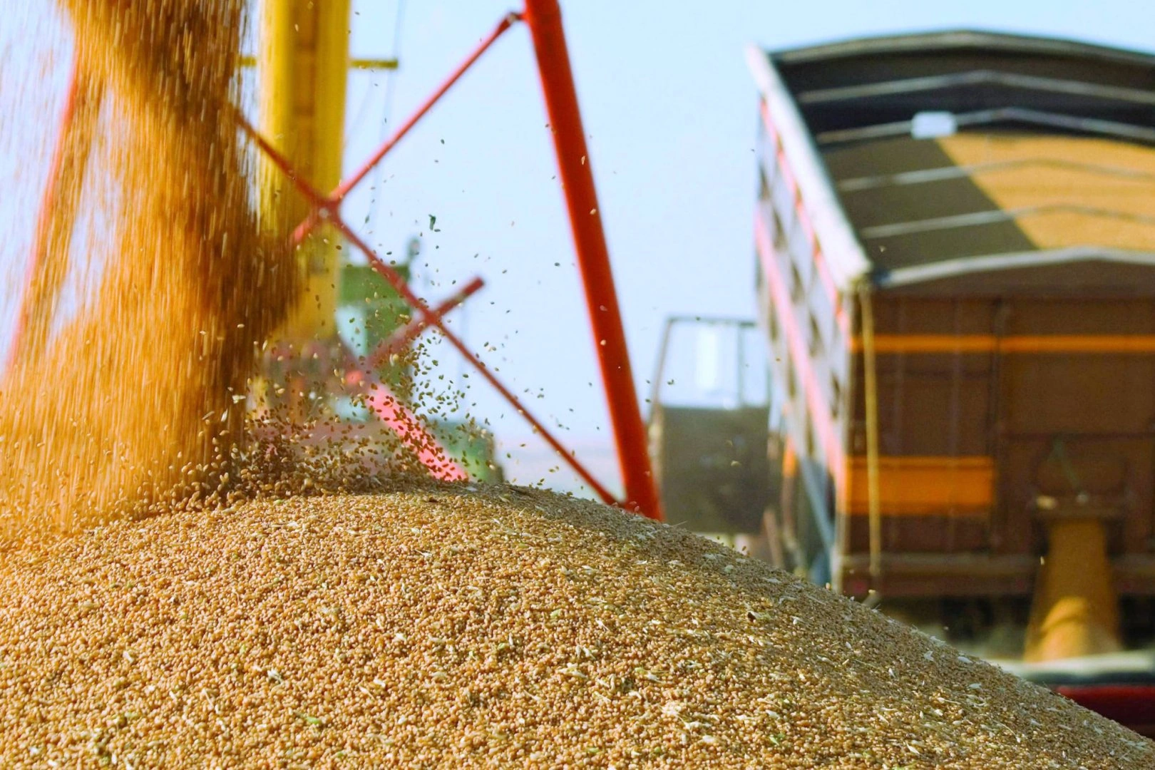Kazakhstan rails ahead with increased grain shipments to Uzbekistan