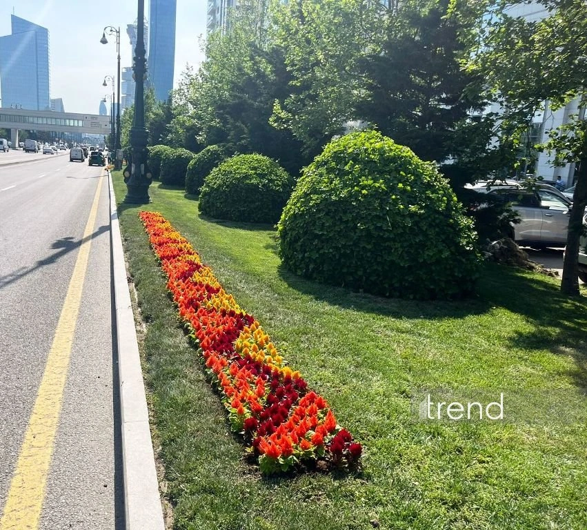Azerbaijan's Baku blossoms with flowers ahead of WUF13 conference (PHOTO)