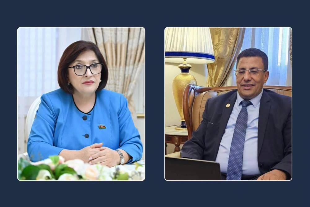 Speaker of Azerbaijan's Parliament holds talks with Pan-African Parliament president
