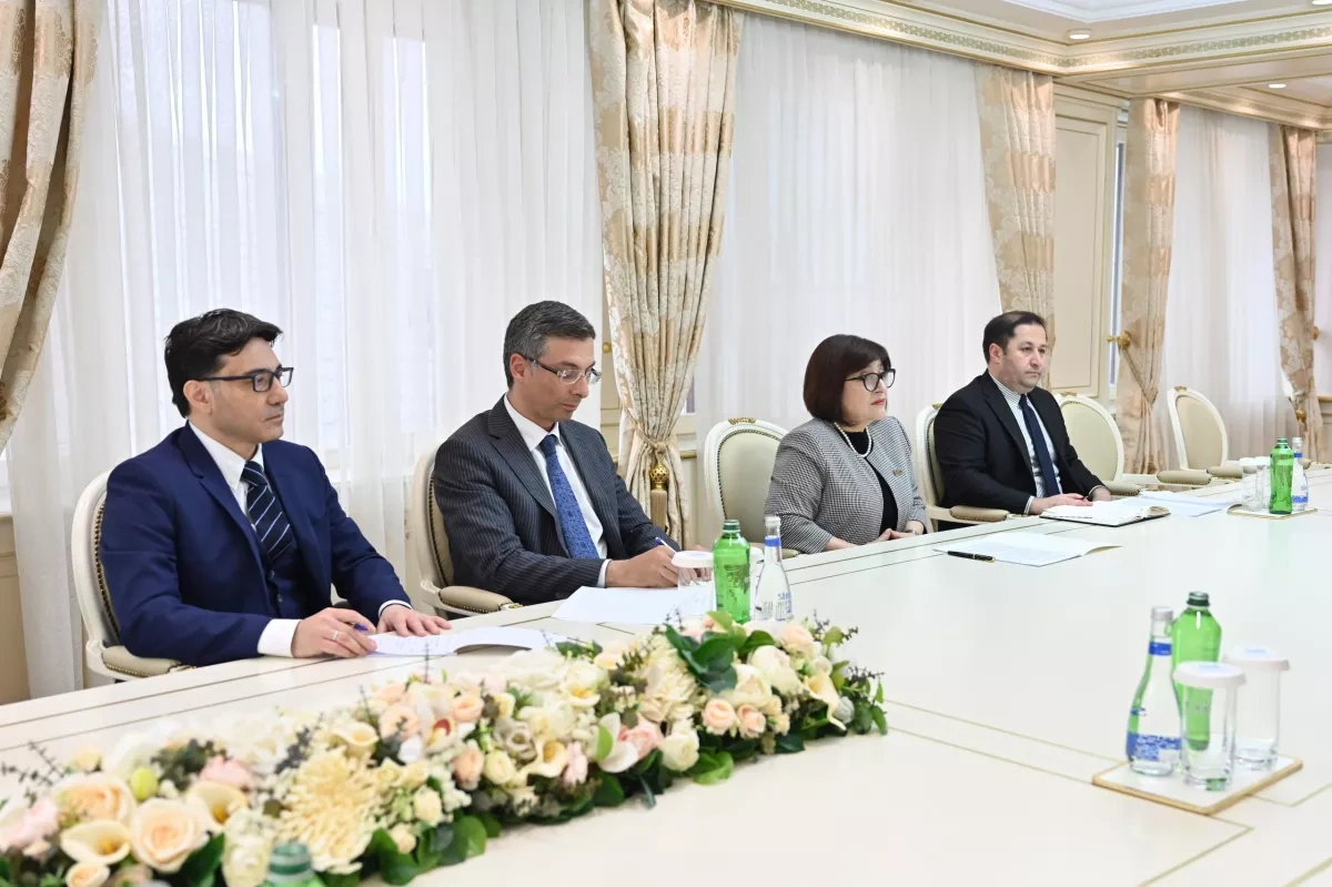 Azerbaijan, Ireland explore deeper interparliamentary ties PHOTO
