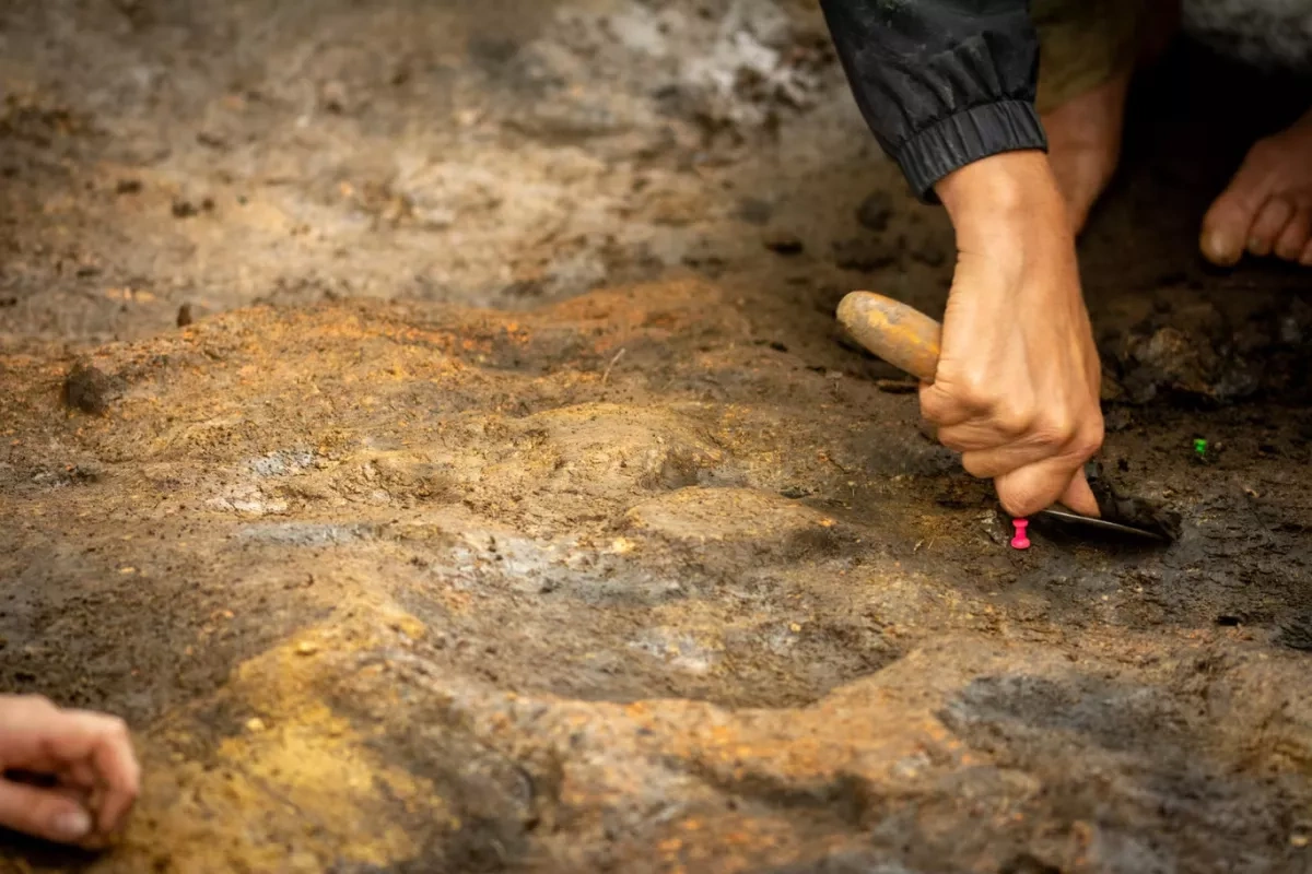 UK discovery pushes back evidence of human fire-making by 350,000 years