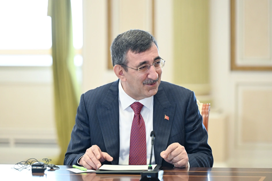 President Ilham Aliyev receives participants of meeting of heads of government of member states of Organization of Turkic States (PHOTO)