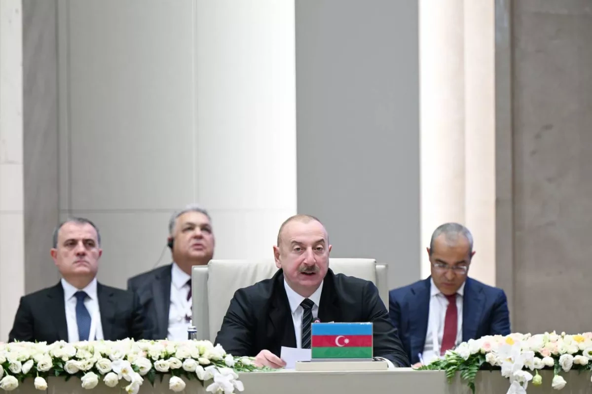 Turkic unity in the context of a fragmenting world order Review by Teymur Atayev