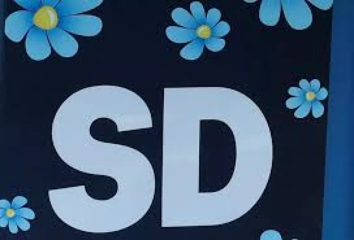A signal for Europe: Sweden’s election shifts the balance Limansky’s analysis