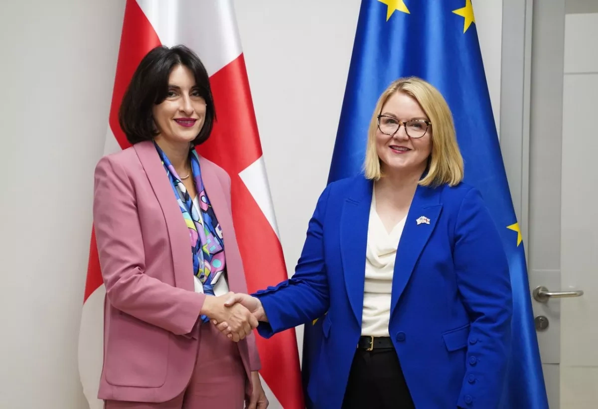 Georgian FM, US chargé d'affaires discuss bilateral ties