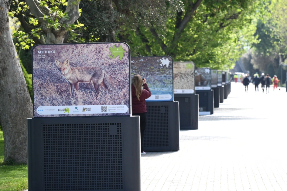 Baku hosts exhibition titled “In the footsteps of Azerbaijan’s nature” (PHOTO)