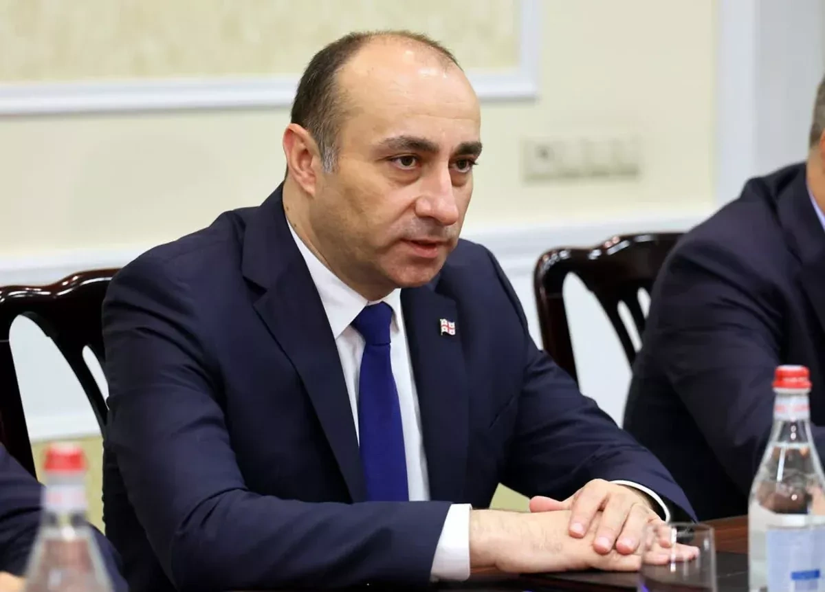 Georgia, Armenia security chiefs discuss regional stability PHOTO