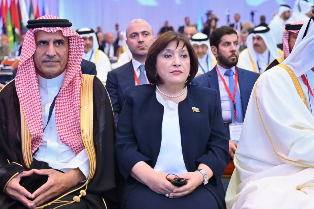Azerbaijani chairwoman addresses summit of Parliamentary Assembly of Mediterranean PHOTO