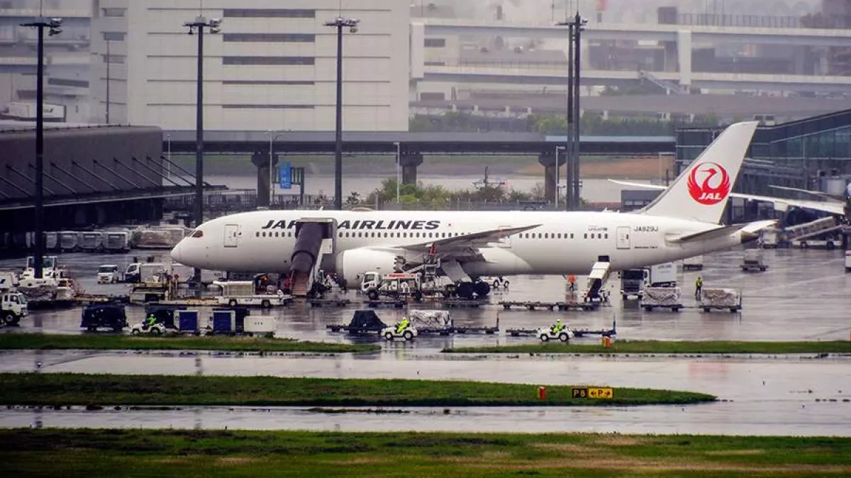 Japanese airlines consider fuel surcharge on domestic flights