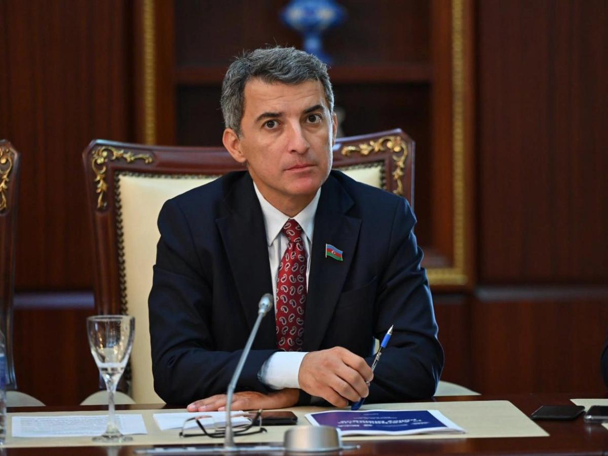 Azerbaijani MP stresses private sector’s vital role in AI tech integration
