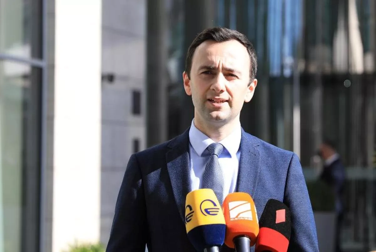 Georgian MP compares Brussels to “street bully”