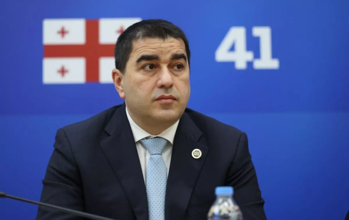 Georgian speaker: Brussels portrays visas as curse