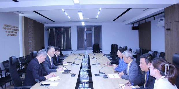 Tajikistan, Vietnam's ROX Group discuss expanding energy investment cooperation