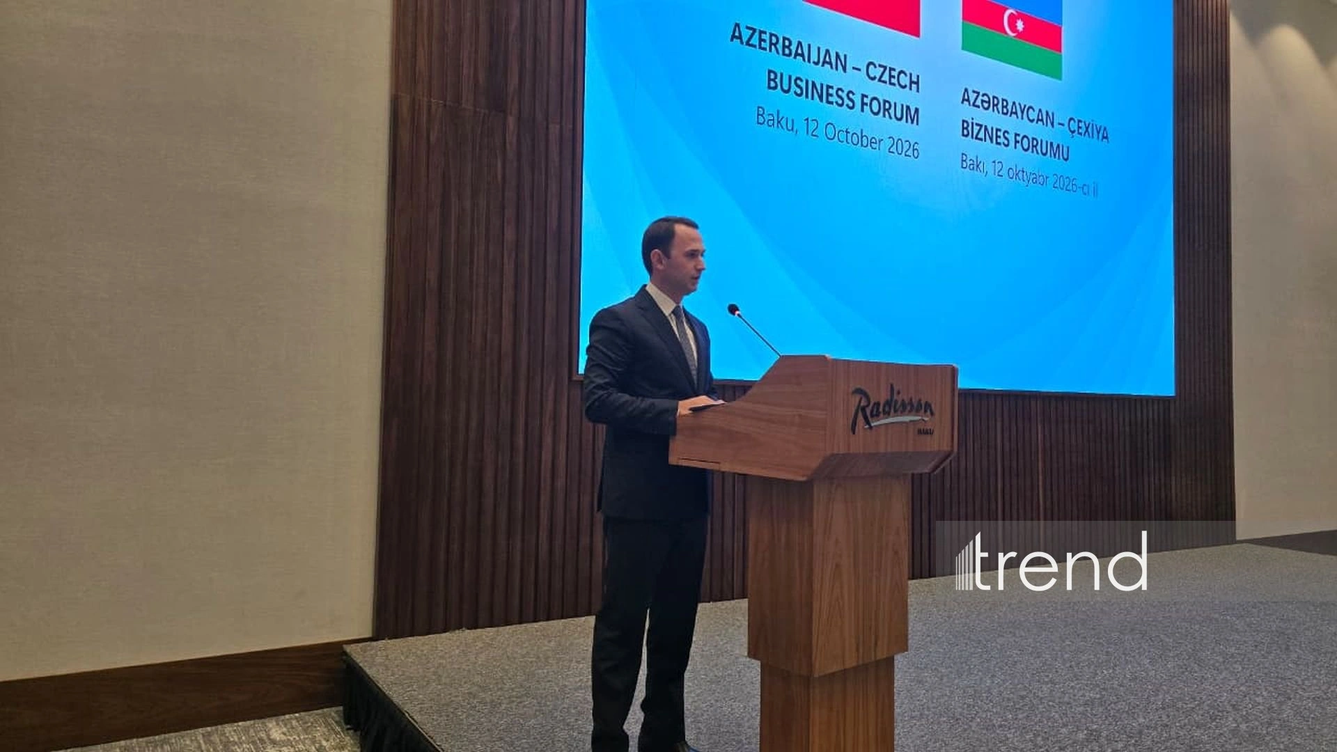 Azerbaijan seeks Czech partners for transport, logistics projects – AZCON