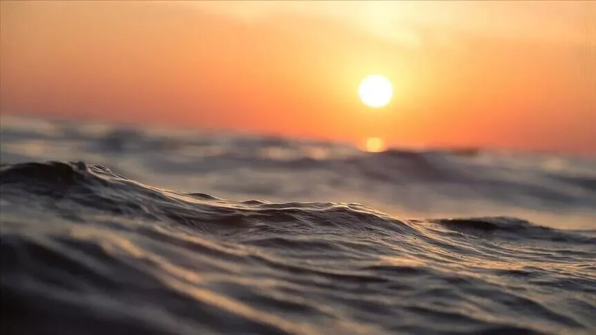 July 2026 sets record for hottest ocean surface on record