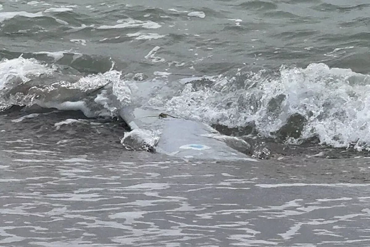 Drone fragment washes ashore on Romanian coast