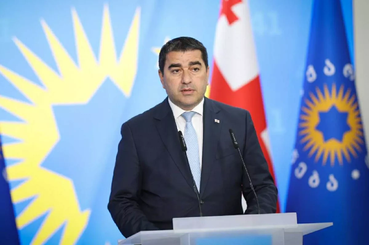 Georgian parliament speaker questions benefits of EU membership