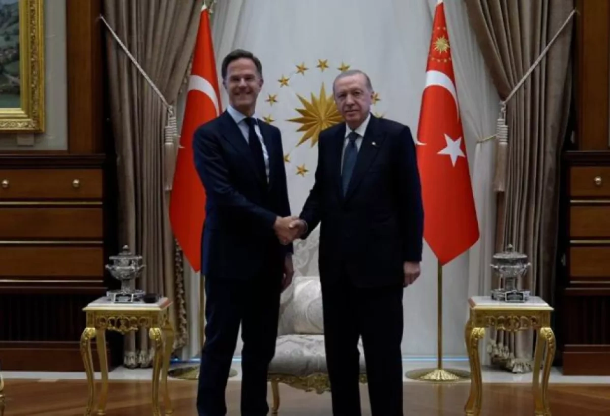 Erdogan meets NATO chief ahead of alliance summit in Ankara
