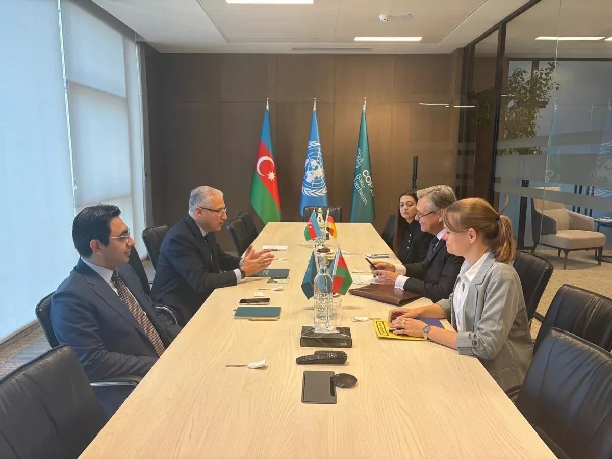 Azerbaijan, Germany seek stronger cooperation on climate, environment PHOTO