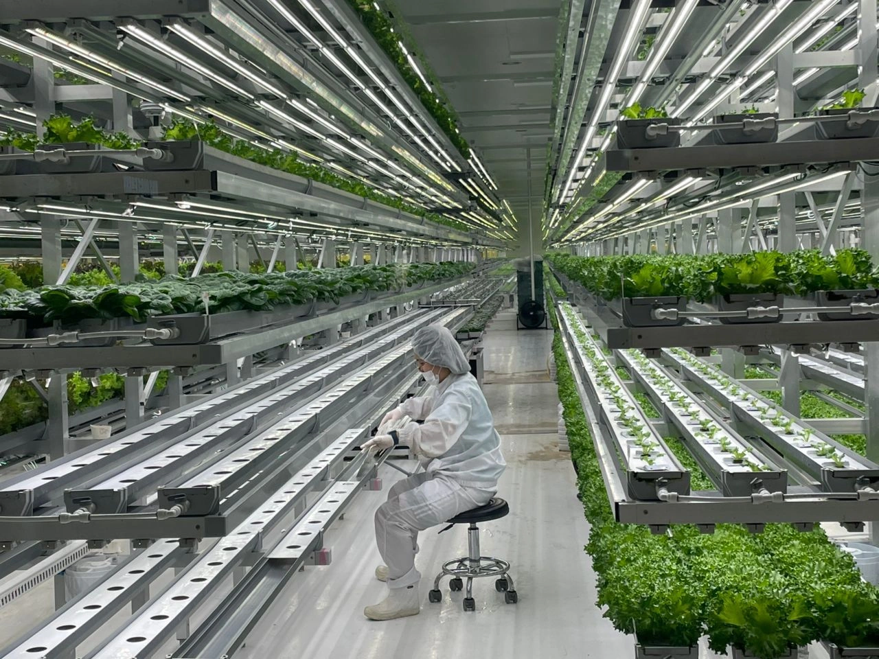 Kyrgyzstan adopts South Korean experience in agricultural digitalization