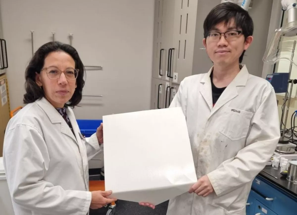 Scientists create rooftop paint that cools cities and harvests water PHOTO