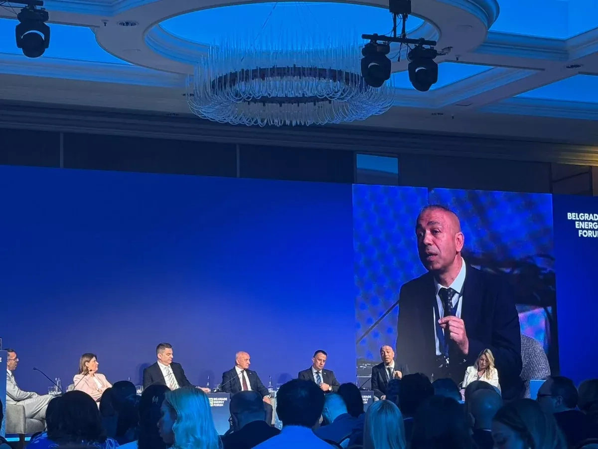 Azerbaijan positions itself as key regional gas supplier, says energy official