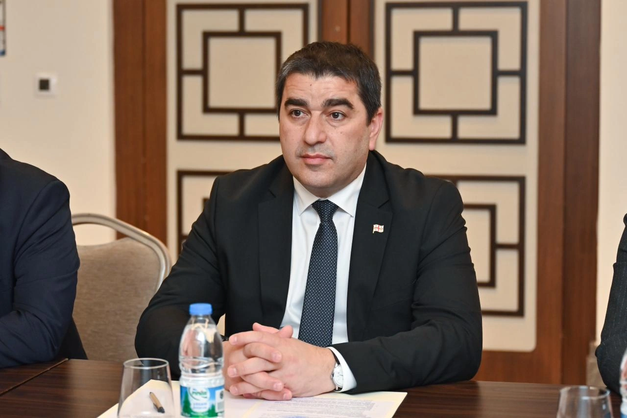 Azerbaijani Parliament Speaker meets with Speaker of Parliament of Georgia (PHOTO)