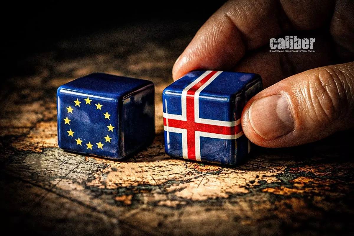 Arctic calculation What EU membership could bring to Iceland