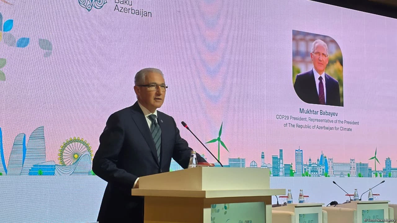 Azerbaijan talks climate change affect on countries facing conflicts, forced displacementlk