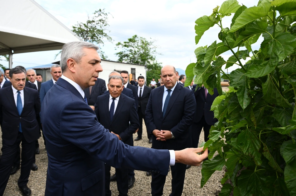 Infrastructure created for sericulture development inspected in Dashbulag village of Khojaly (PHOTO)