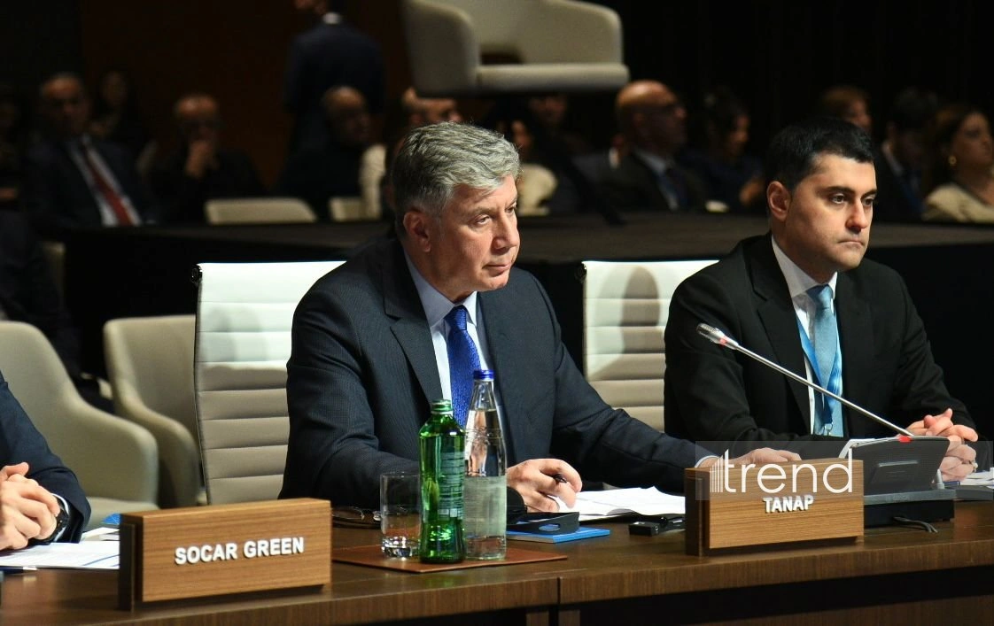 TANAP set to lead climate adaptation efforts with resilience focus in 2026 - official