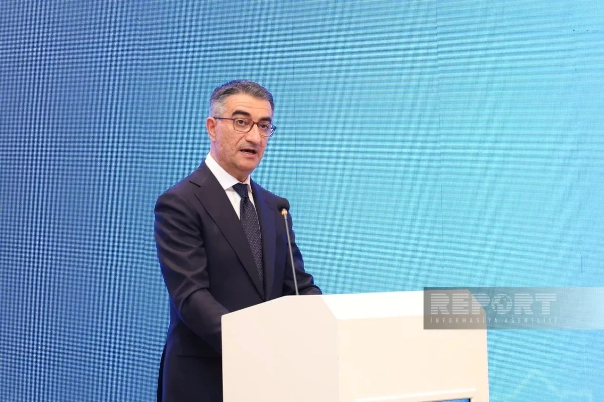 Azerbaijani official stresses importance of competition cooperation among Turkic states