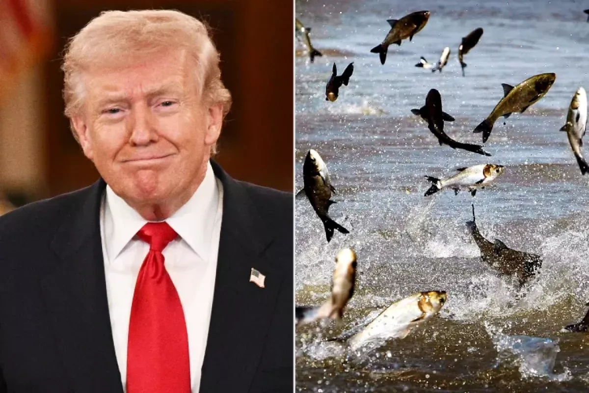 Trump calls for governors to join battle against carp in Great Lakes