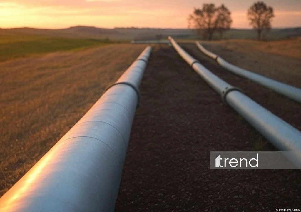 Oil flows through BTC pipeline via Türkiye down 5.2% in June