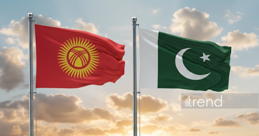 Kyrgyzstan, Pakistan set sights on stronger energy, transport ties