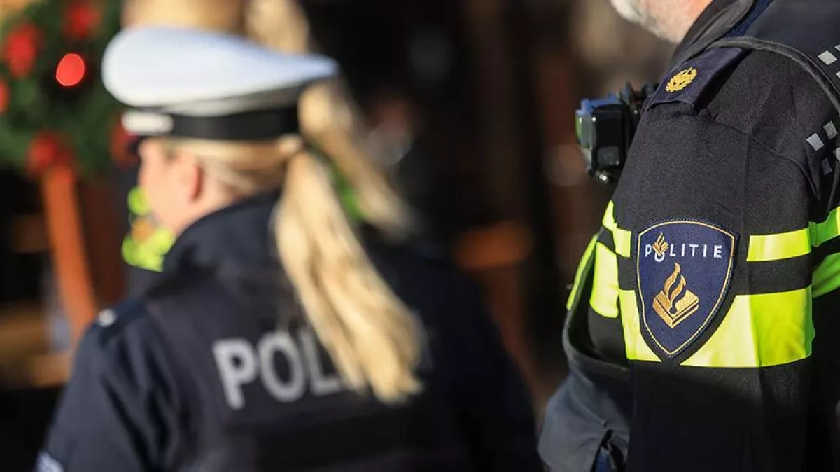 Nine injured as car drives into crowd at light parade in Dutch town Photo
