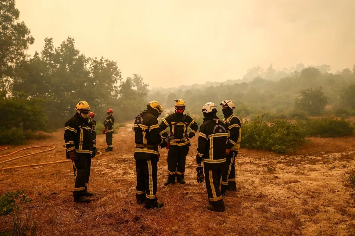 Five killed, three injured after loess collapse in northern China