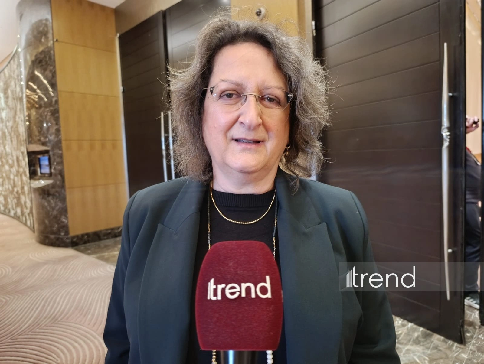 Green energy represents key area of Israel-Azerbaijan co-op - Yael Ravia-Zadok (Exclusive)