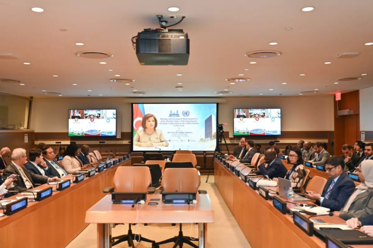 Azerbaijan’s parliament chief calls for stronger UN-IPU cooperation PHOTO