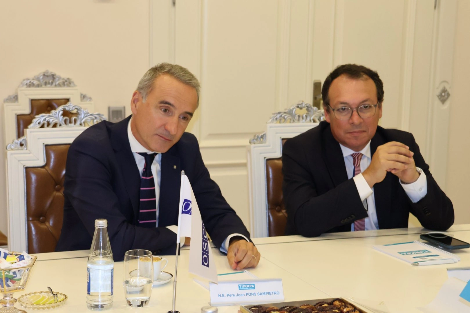 TURKPA Secretary General meets with OSCE PA President (PHOTO)