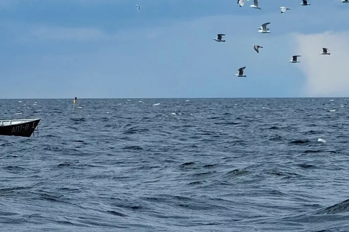 Russian cargo ship sinks in Black Sea after drone attack