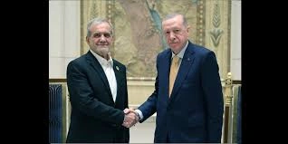Turkish president hold telephone conversation with his Iranian counterpart