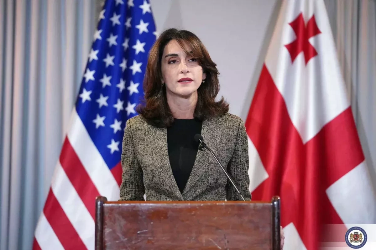 Georgian FM: Tbilisi, Washington developing new relations framework