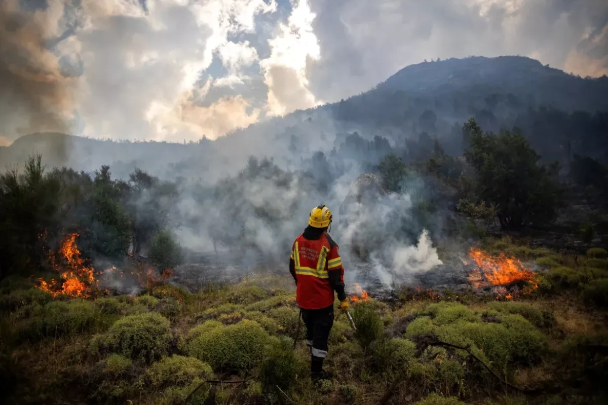 Argentina’s budget cuts fuel wildfire catastrophe in Patagonia