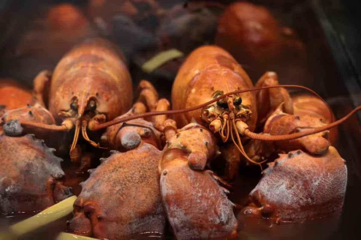 Here's how $400,000 Massachusetts lobster heist went down
