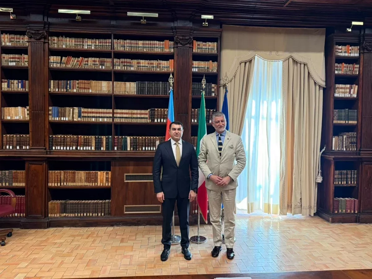 Azerbaijan, Italy discuss cultural heritage preservation, cooperation PHOTO